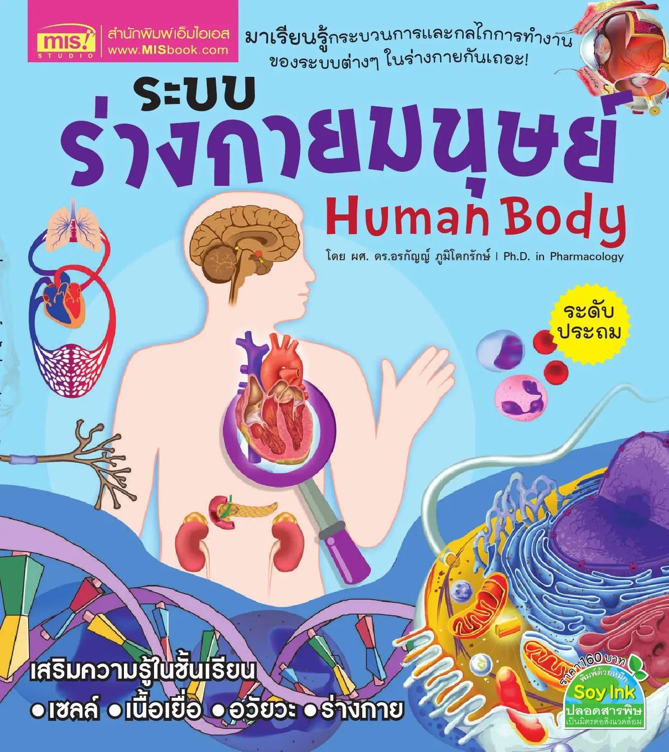 ระบบร่างกายมนุษย์ = Human Body