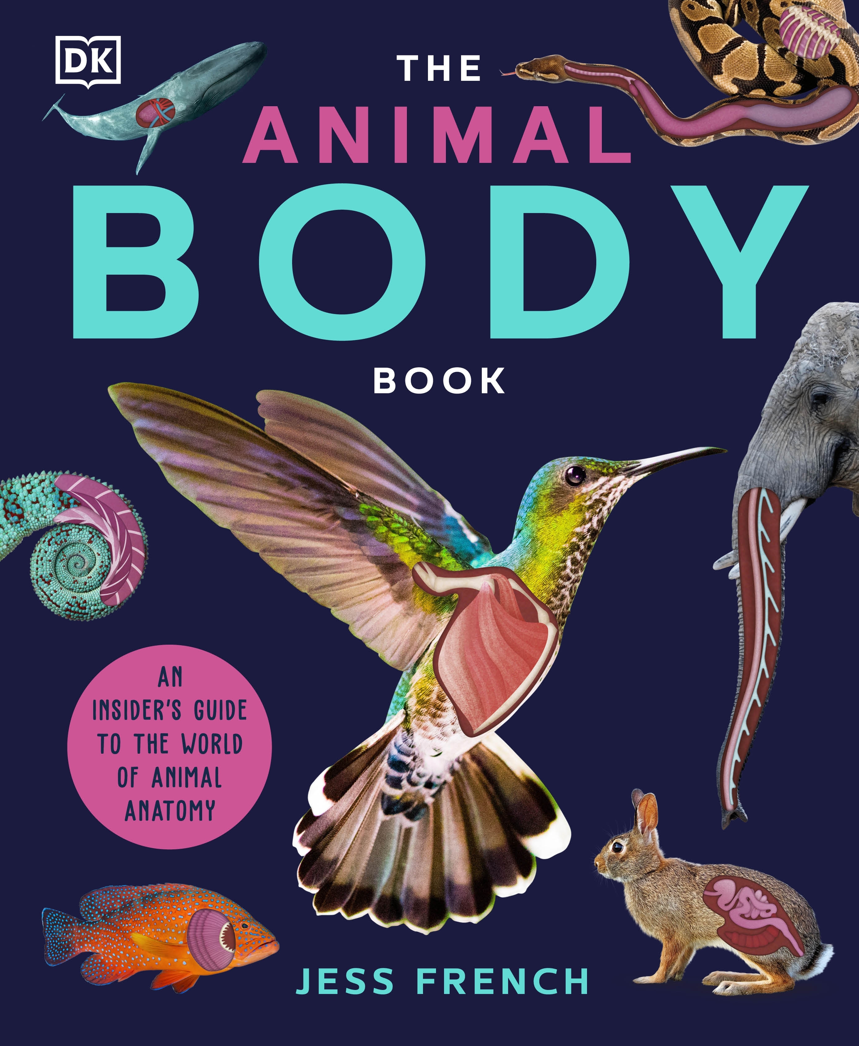 The Animal Body Book : An Insider's Guide to the World of Animal Anatomy