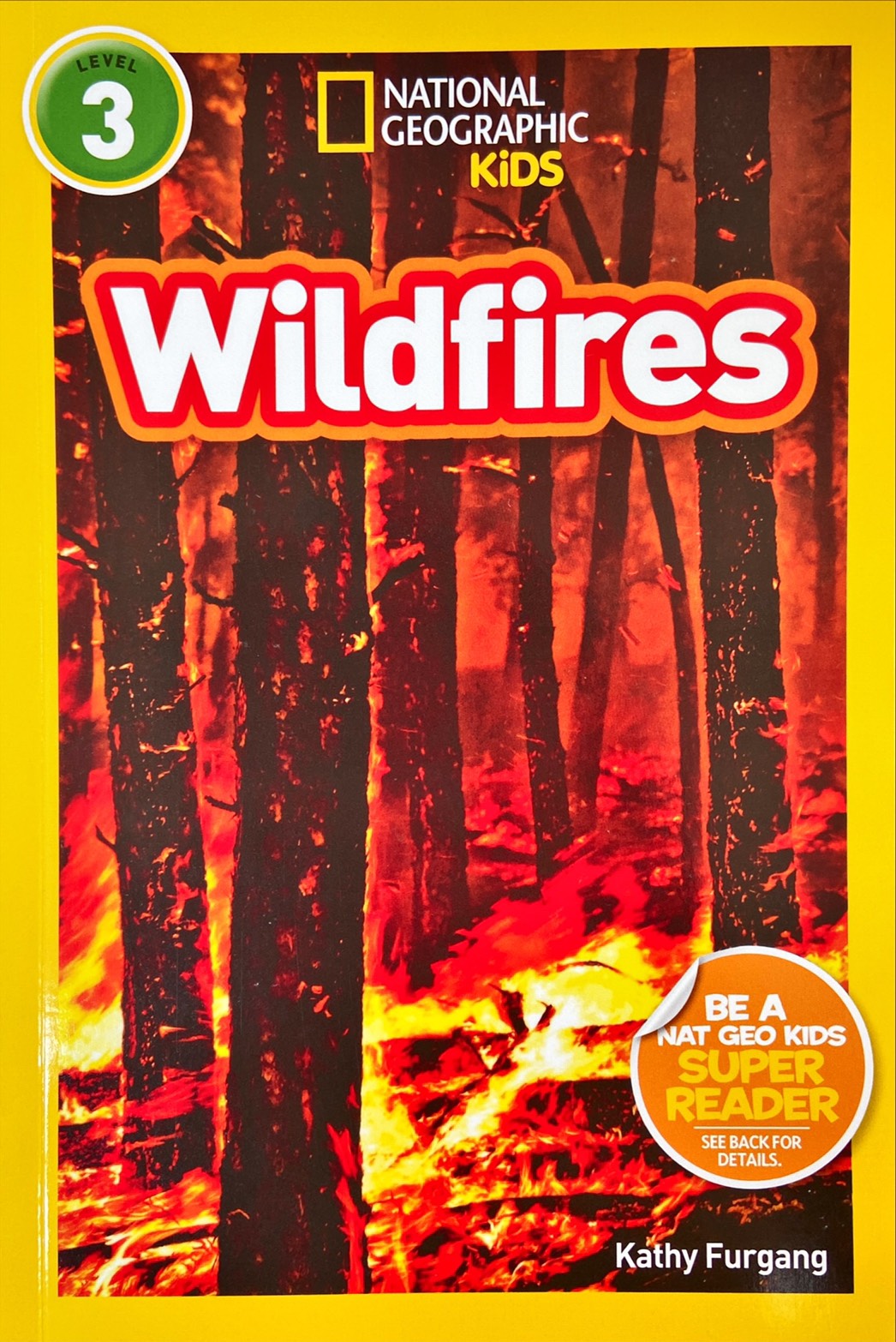 Wildfires : National Geographic Kids Level 3