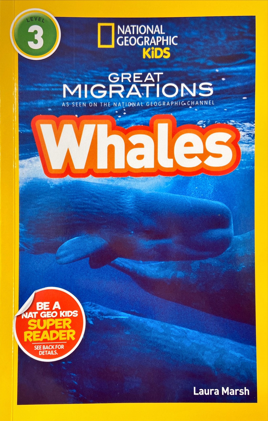 Water : National Geographic Kids Level 3