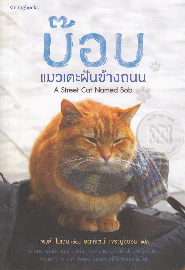 บ๊อบ แมวเตะฝันข้างถนน : A Street Cat Named Bob