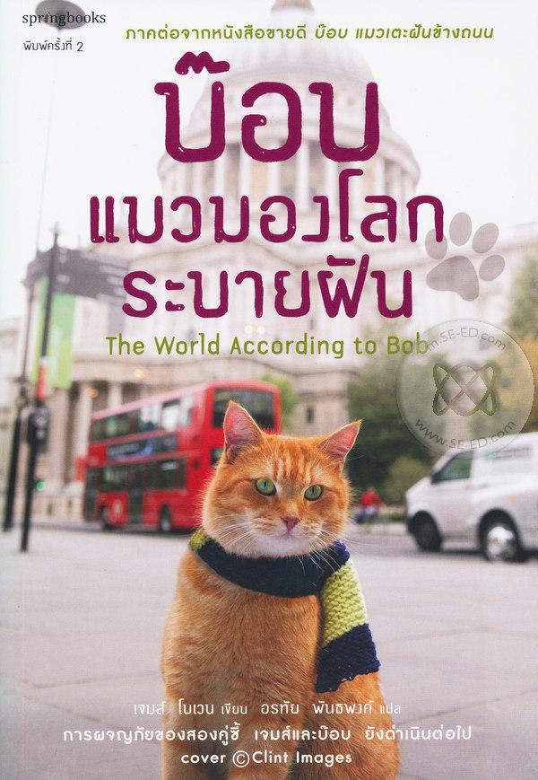 บ๊อบ แมวมองโลกระบายฝัน : The World According to Bob