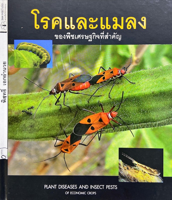 โรคและแมลง ของพืชเศรษฐกิจที่่สำคัญ