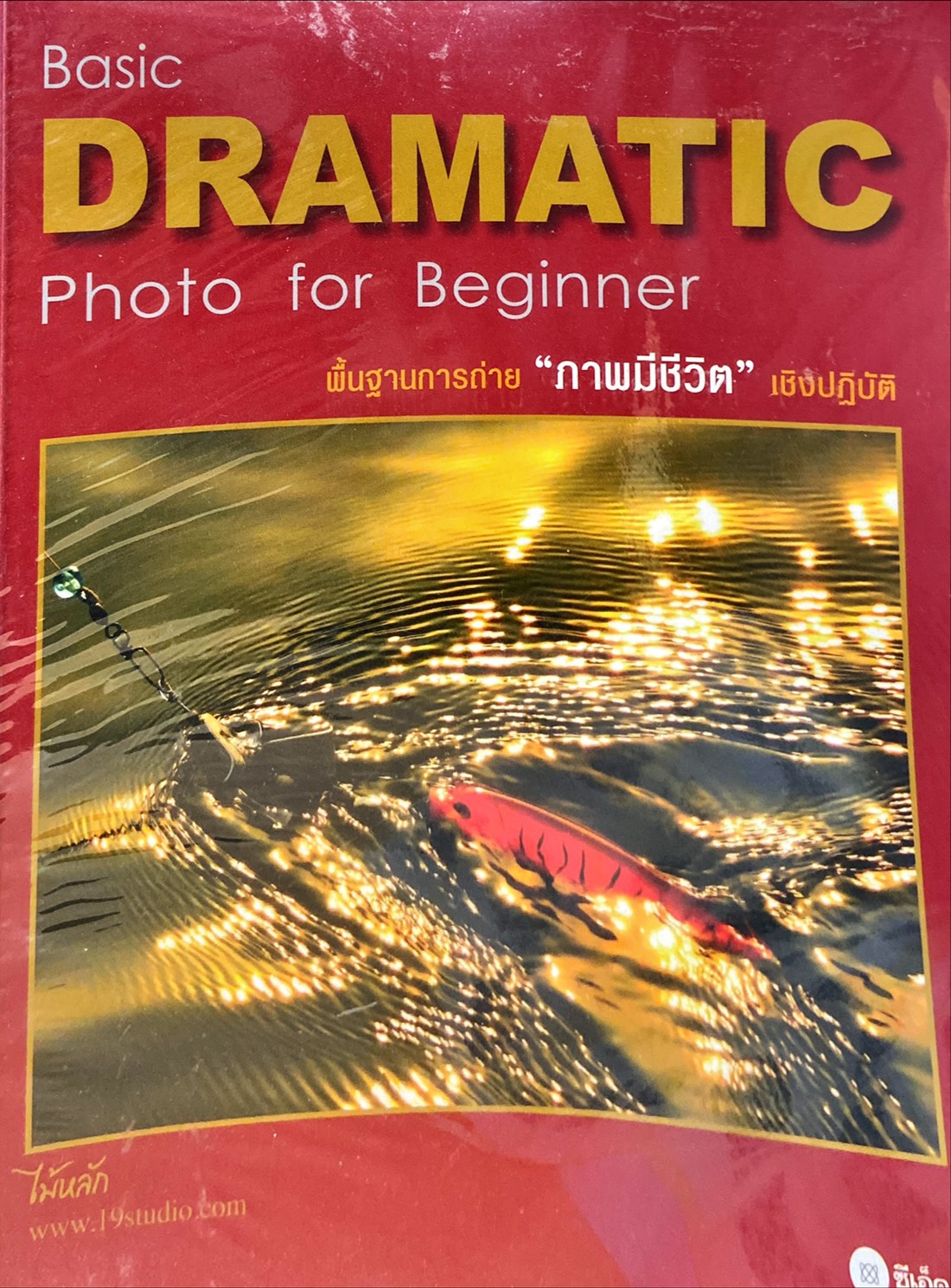 Basic Dramatic Photo for Beginner