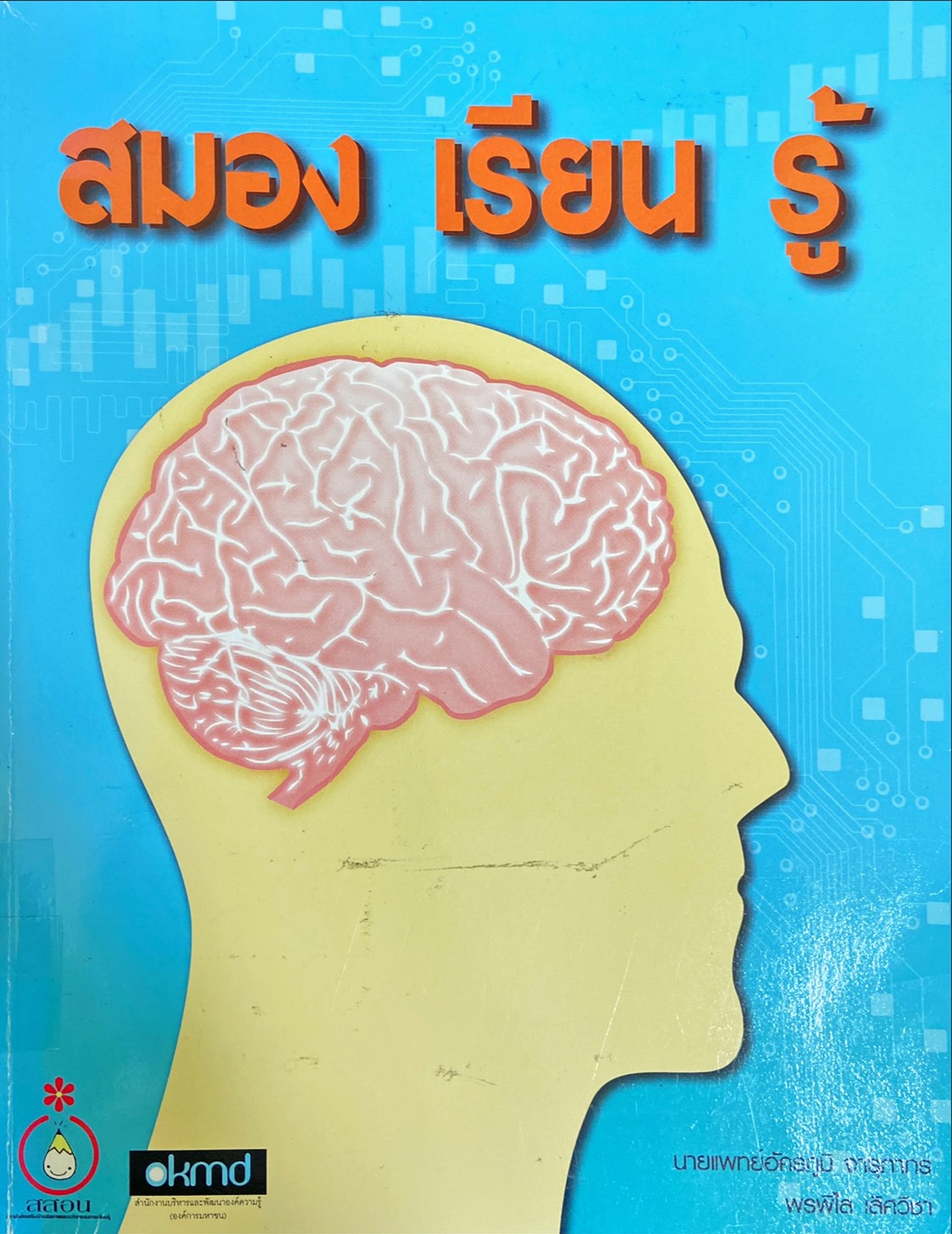 สมอง เรียน รู้