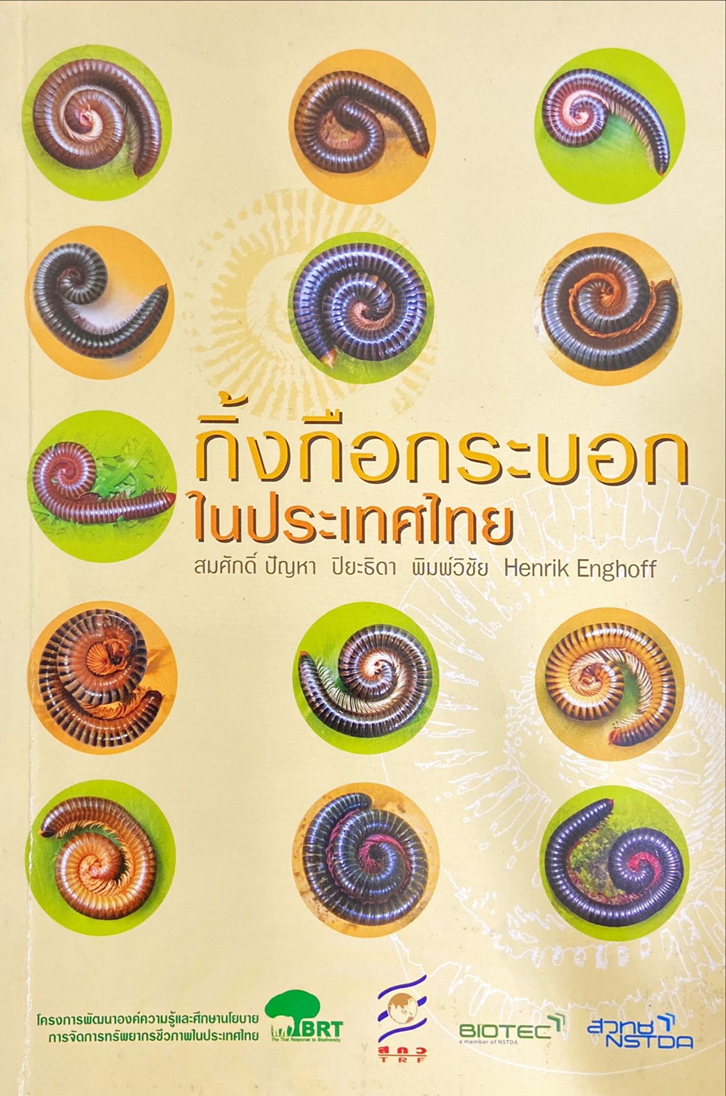 กิ้งกือกระบอกในประเทศไทย