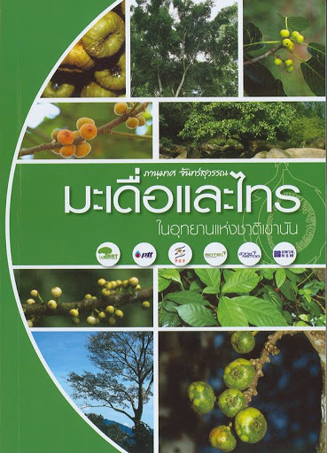 มะเดื่อและไทร ในอุทยานแห่งชาติเขานัน