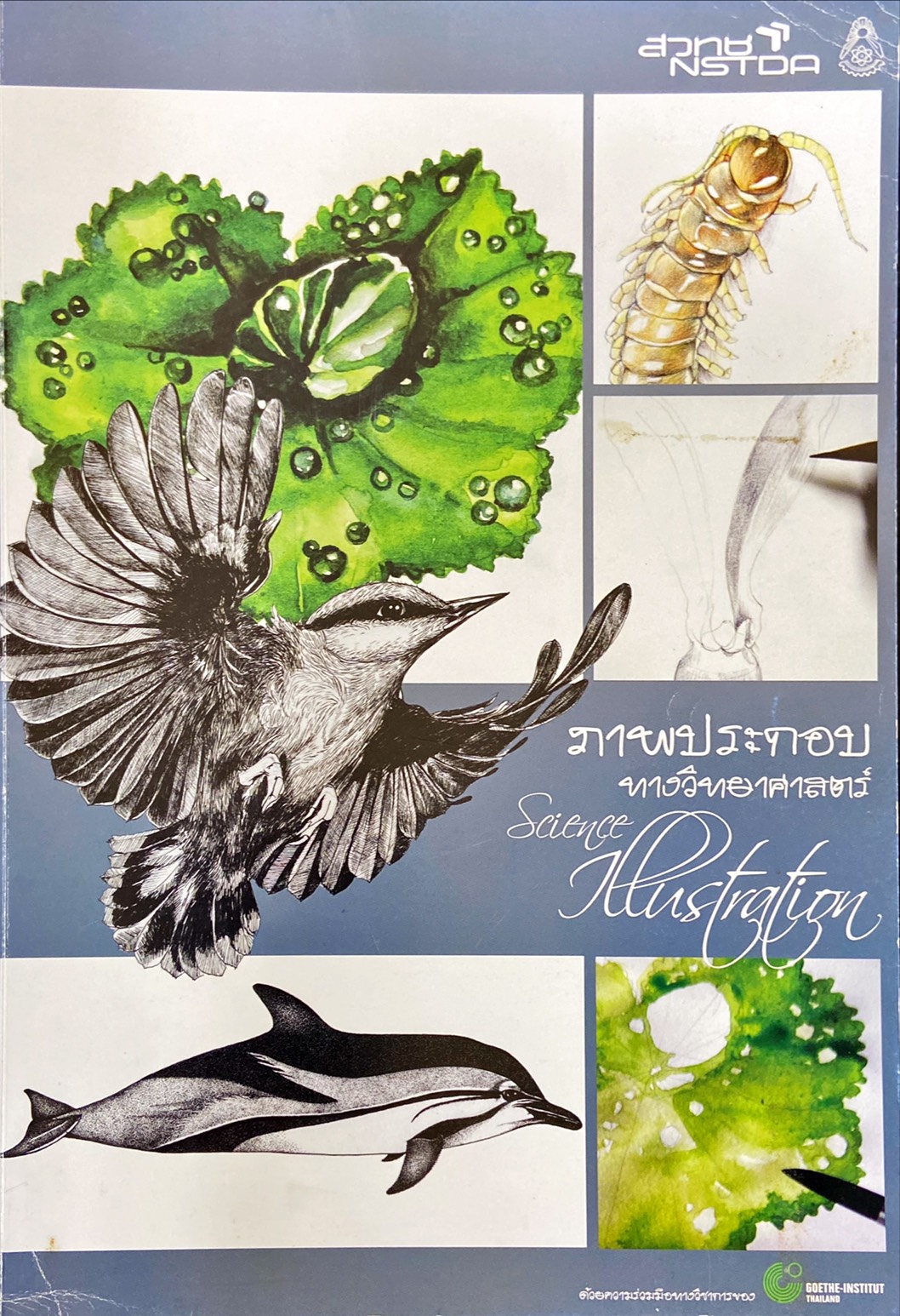 ภาพประกอบทางวิทยาศาสตร์