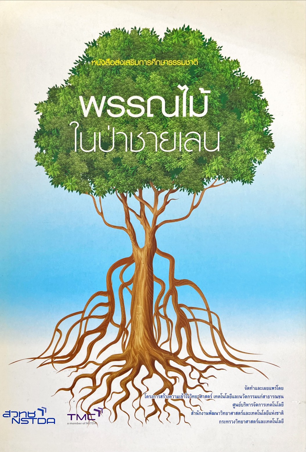พรรณไม้ในป่าชายเลน