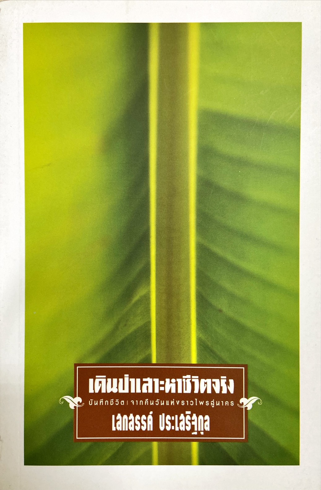 เดินป่าเสาะหาชีวิตจริง