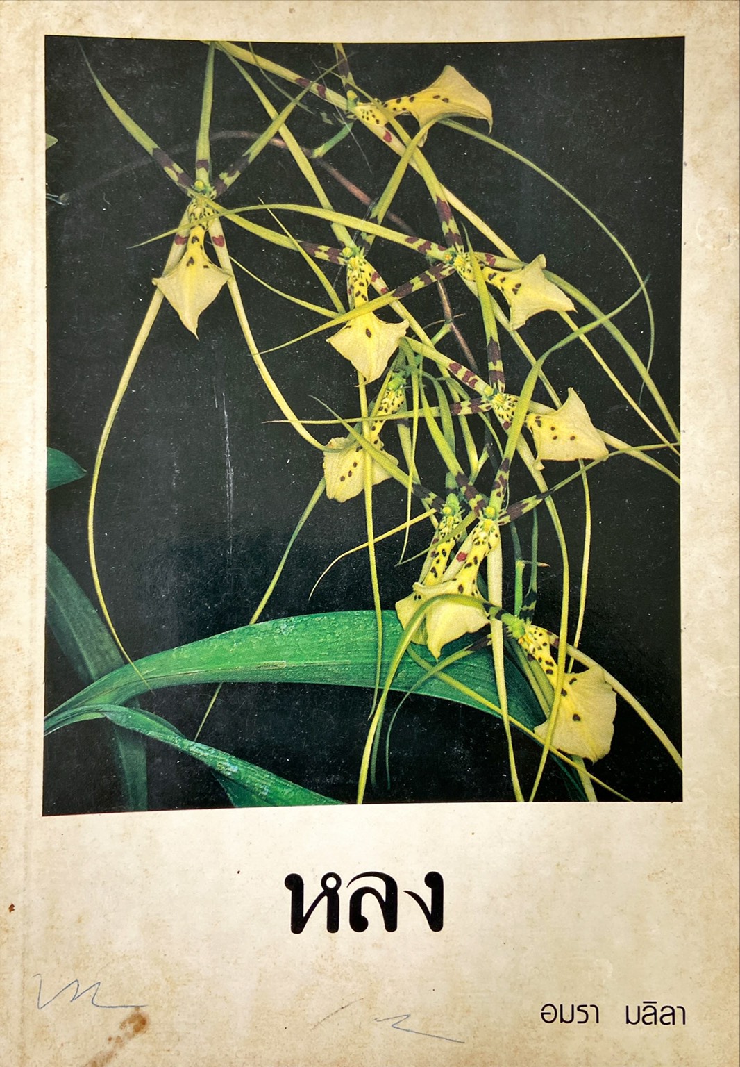 หลง