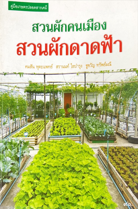 สวนผักคนเมือง : สวนผักดาดฟ้า