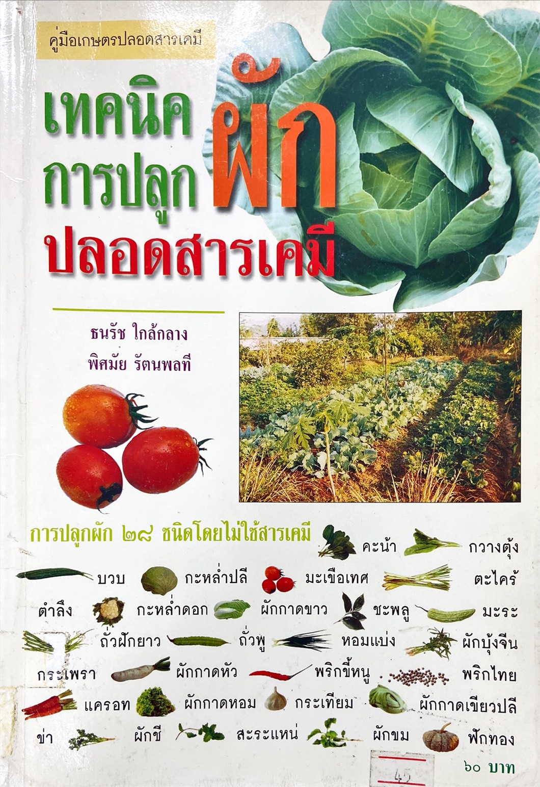 เทคนิคการปลูกผักปลอดสารเคมี