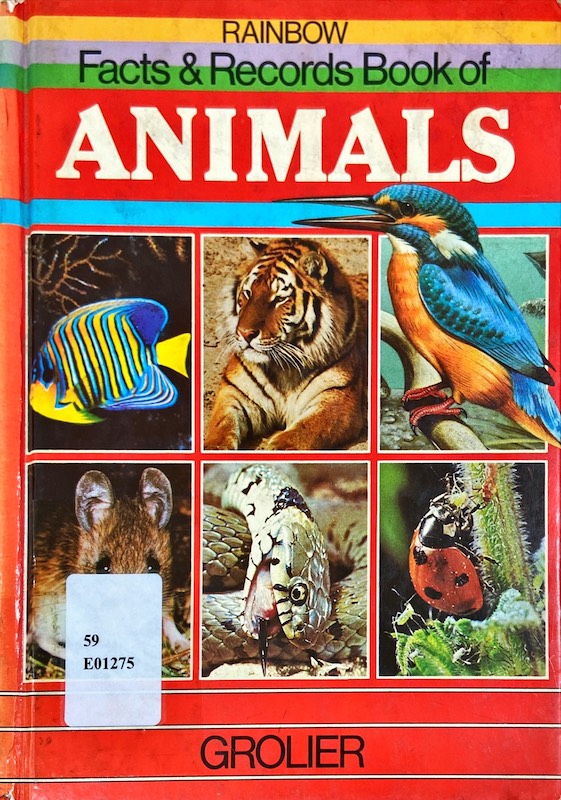 Animals