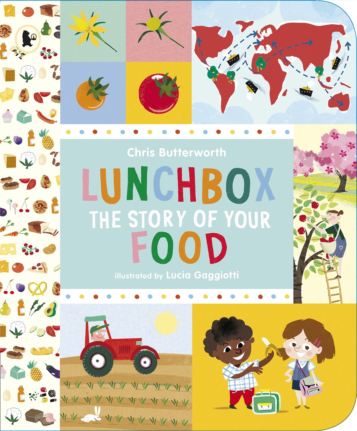 Lunchbox  : The Sory of Your Food
