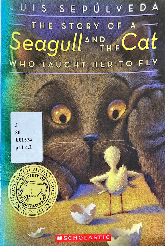 The story of a seagull and the cat who taught her to fly
