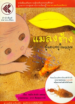 แมลงช้าง ผู้แอบอยู่ในหลุม
