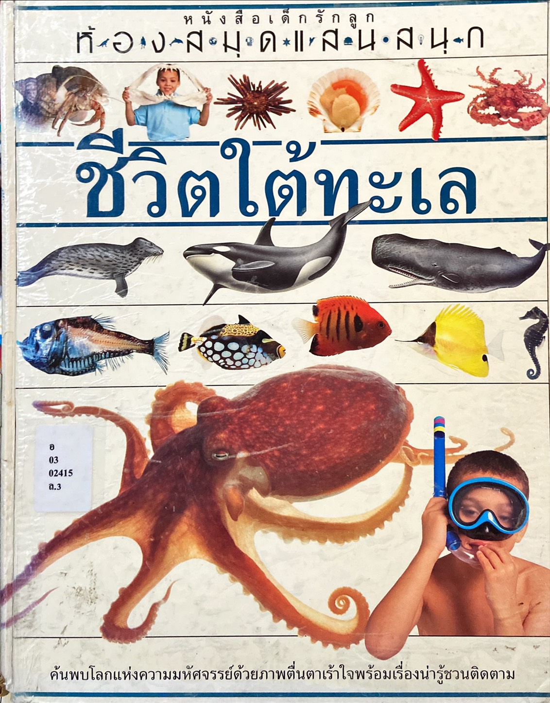 ชีวิตใต้ทะเล : ห้องสมุดแสนสนุก