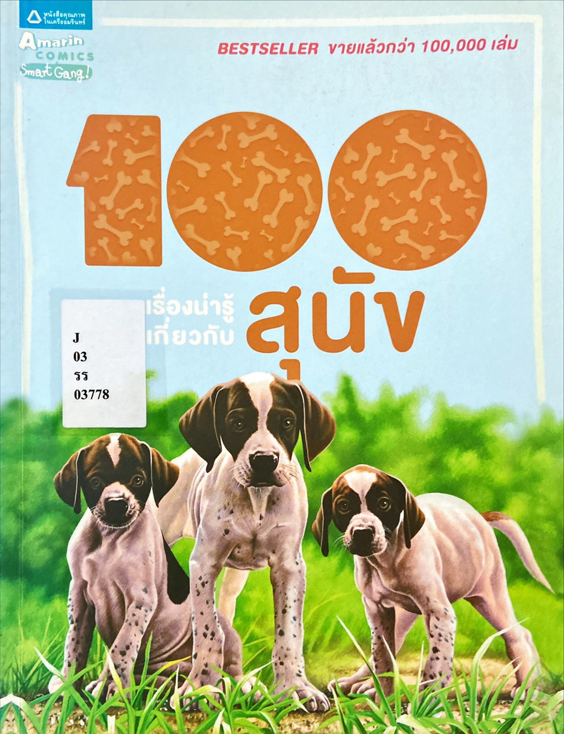 100 เรื่องน่ารู้เกี่ยวกับ สุนัข|100 Things You Should Know About Dogs & Puppies