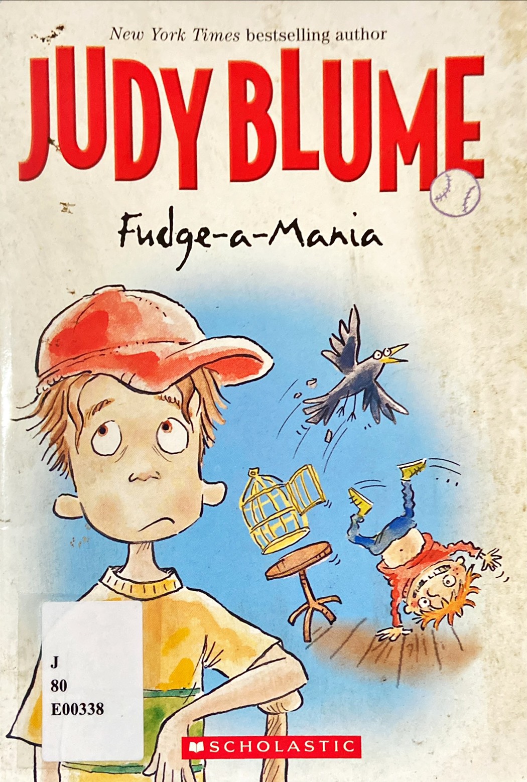 Fudge-a-Mania