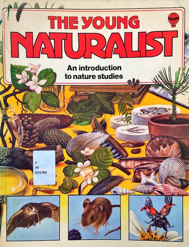 The young naturalist