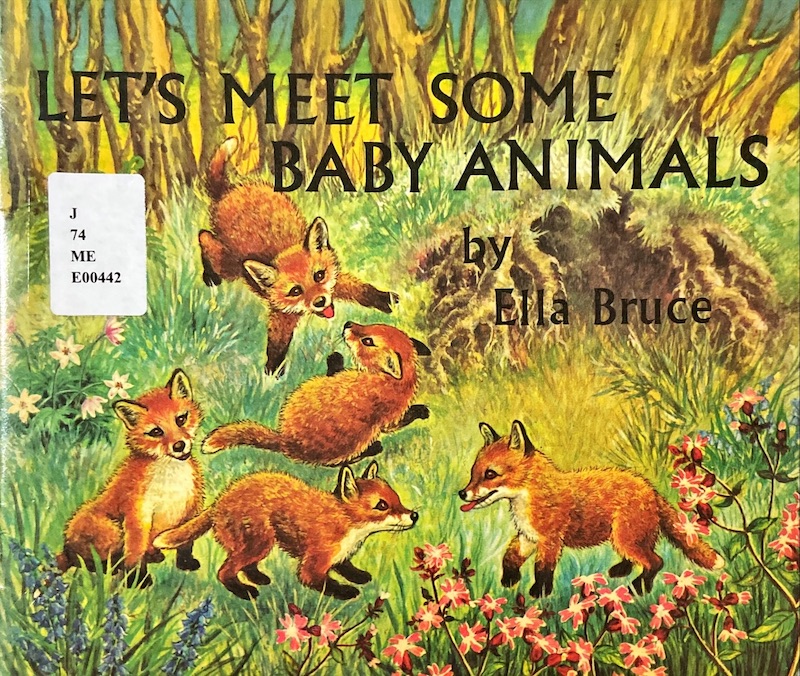 Let's Meet Some Baby Animals