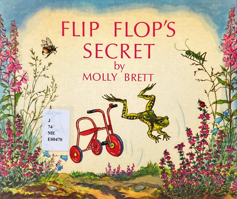 Flip Flop's Secret