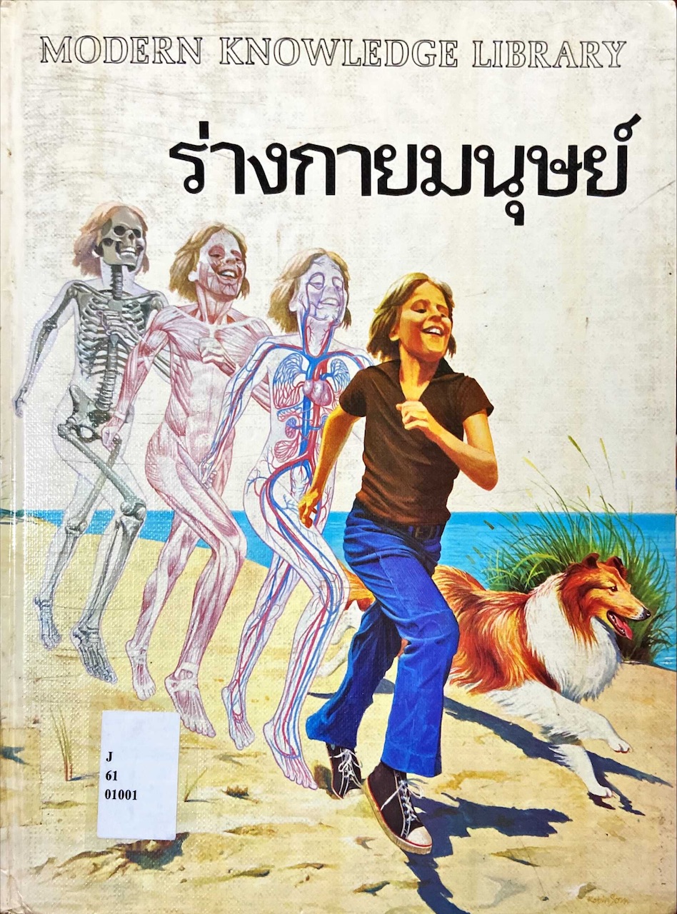 ร่างกายมนุษย์
