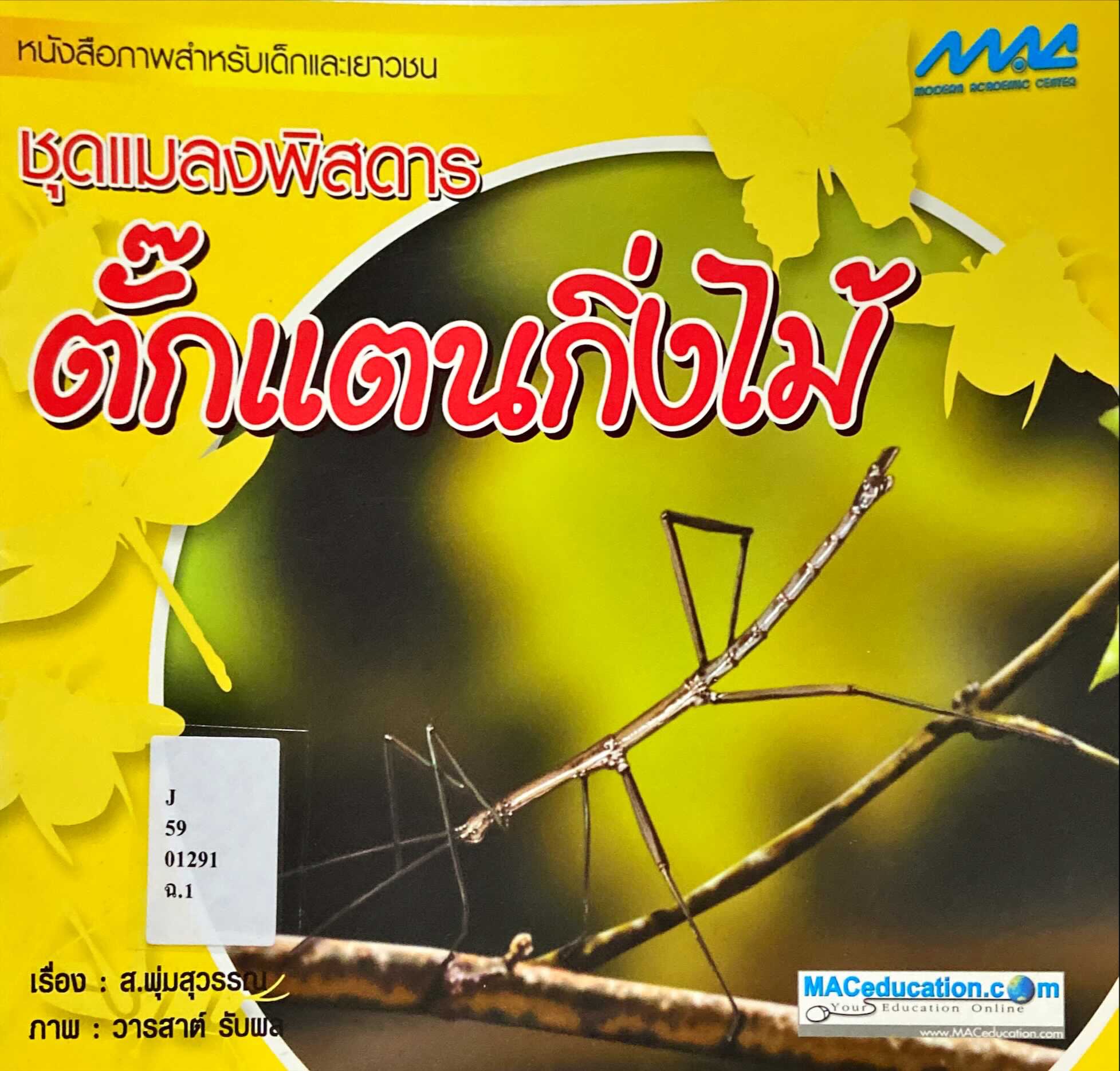 ตั๊กแตนกิ่งไม้
