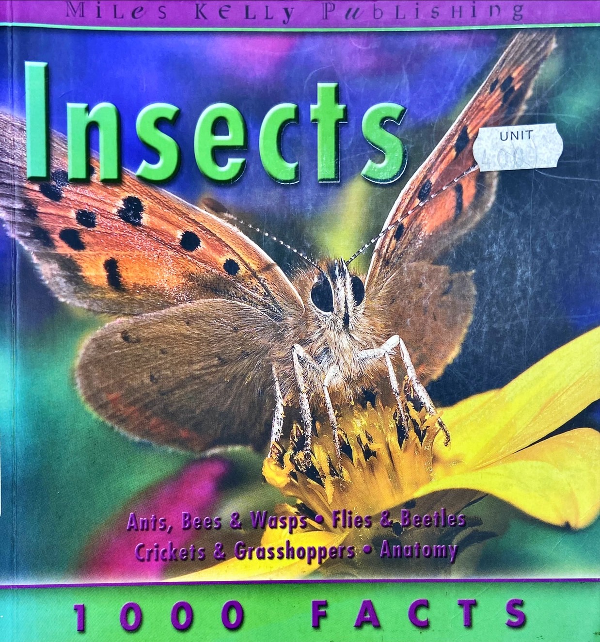 Insect