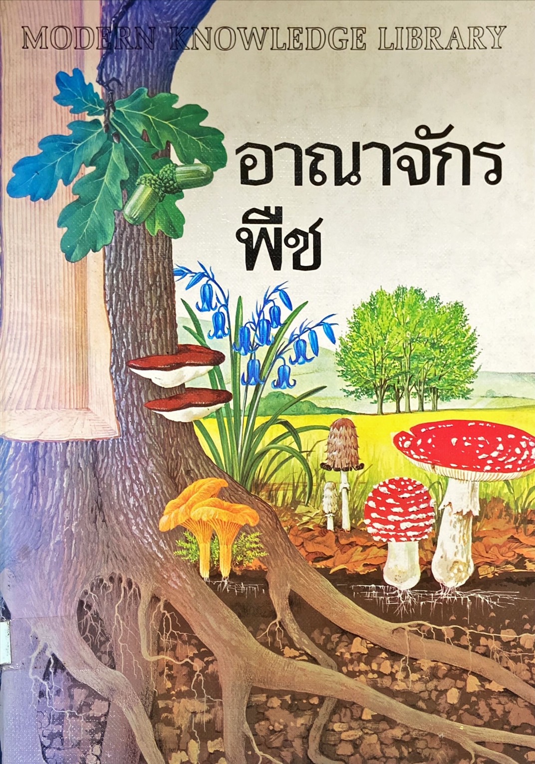 อาณาจักรพืช