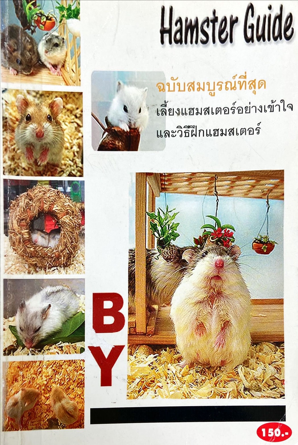 Hamster Guide ฉบับสมบูรณ์ที่สุด
