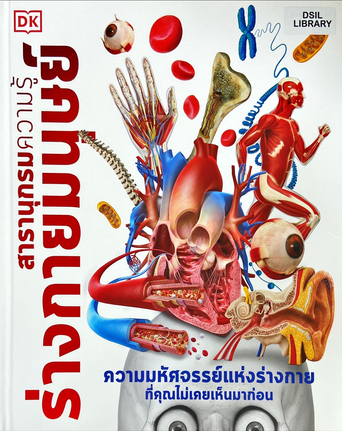 สารานุกรมความรู้ ร่างกายมนุษย์ = Knowledge Encyclopedia Human body