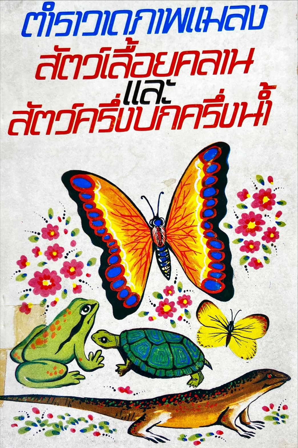 ตำราวาดภาพแมลง สัตว์เลื้อยคลานและสัตว์ครึ่งบกครึ่งน้ำ