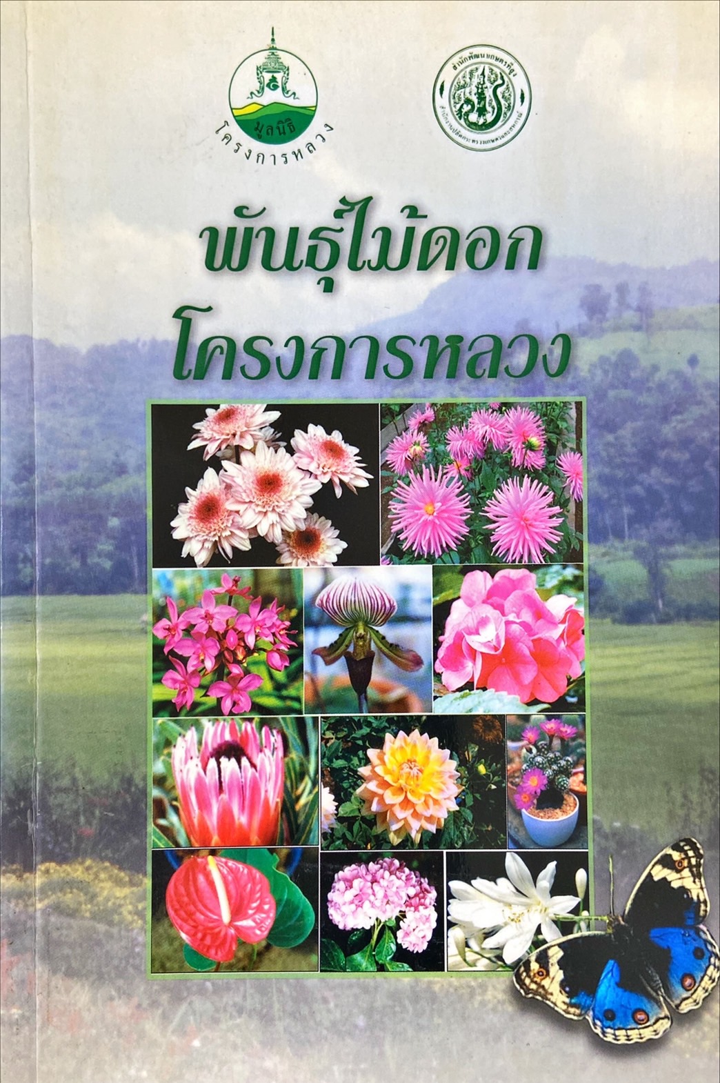 พันธุ์ไม้ดอกโครงการหลวง