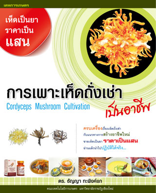 การเพาะเห็ดถั่งเช่าเป็นอาชีพ