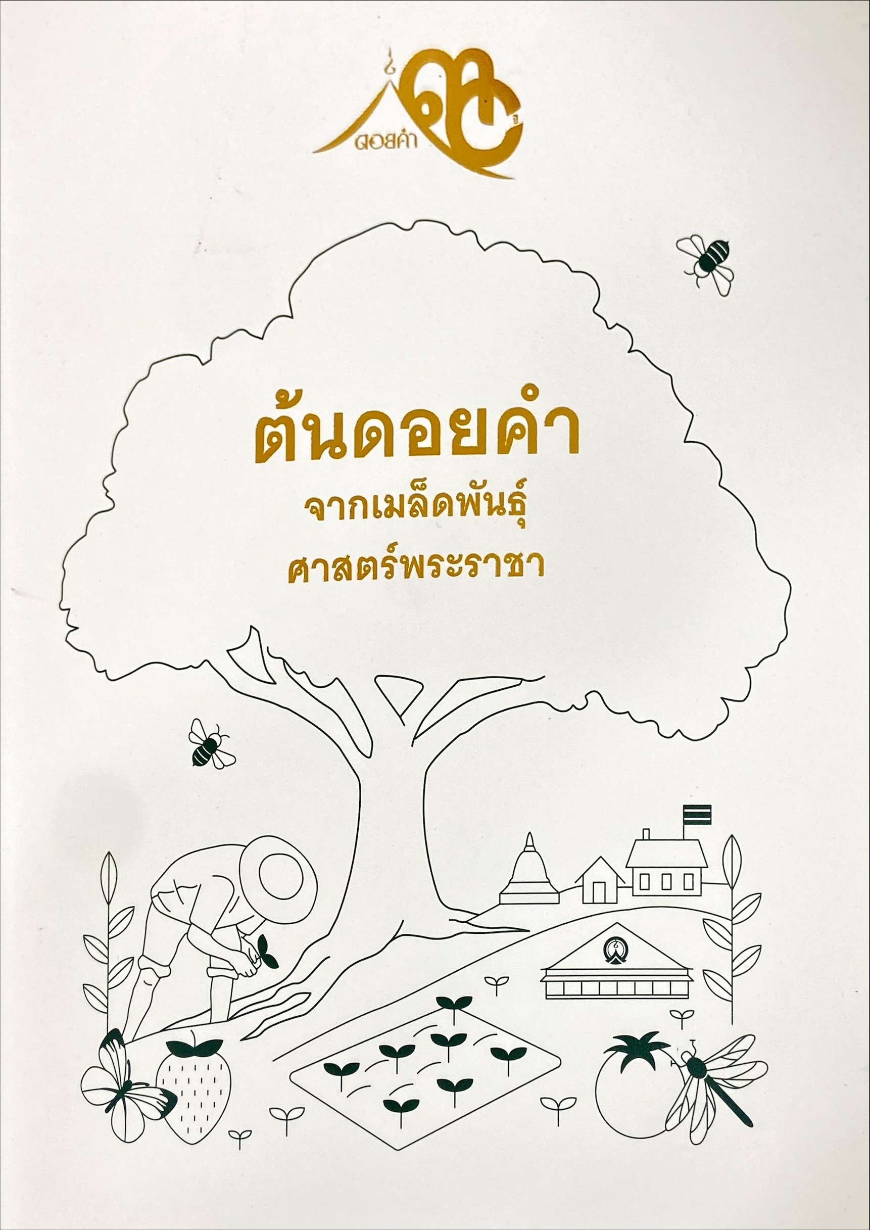 30 ปี ต้นดอยคำจากเมล็ดพันธุ์ศาสตร์พระราชา