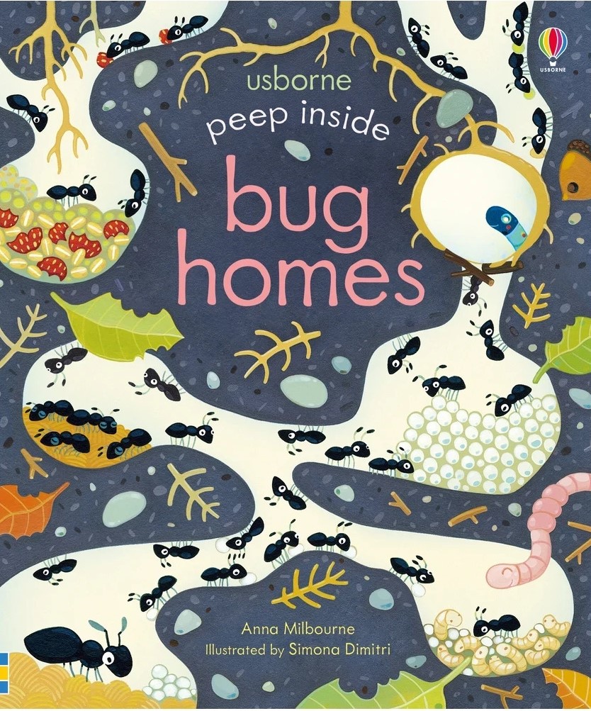 Peep Inside : Bug Homes