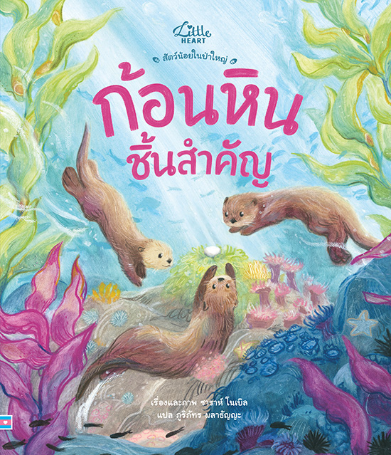 ก้อนหินชิ้นสำคัญ