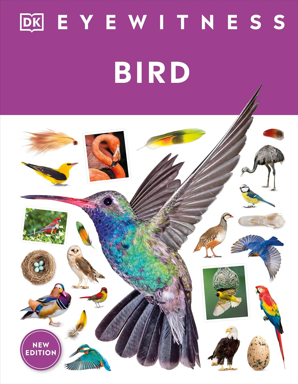 Eyewitness : Bird